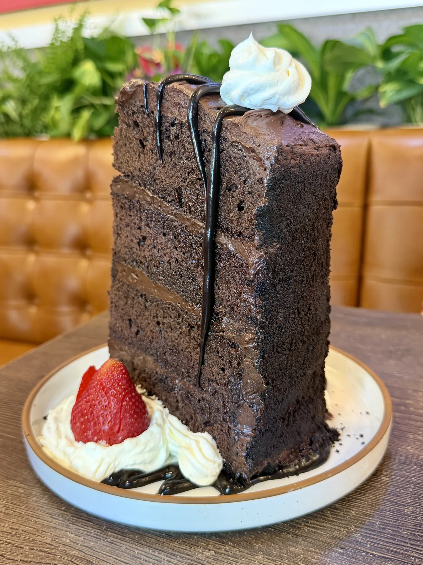 Tall slice of chocolate layer cake