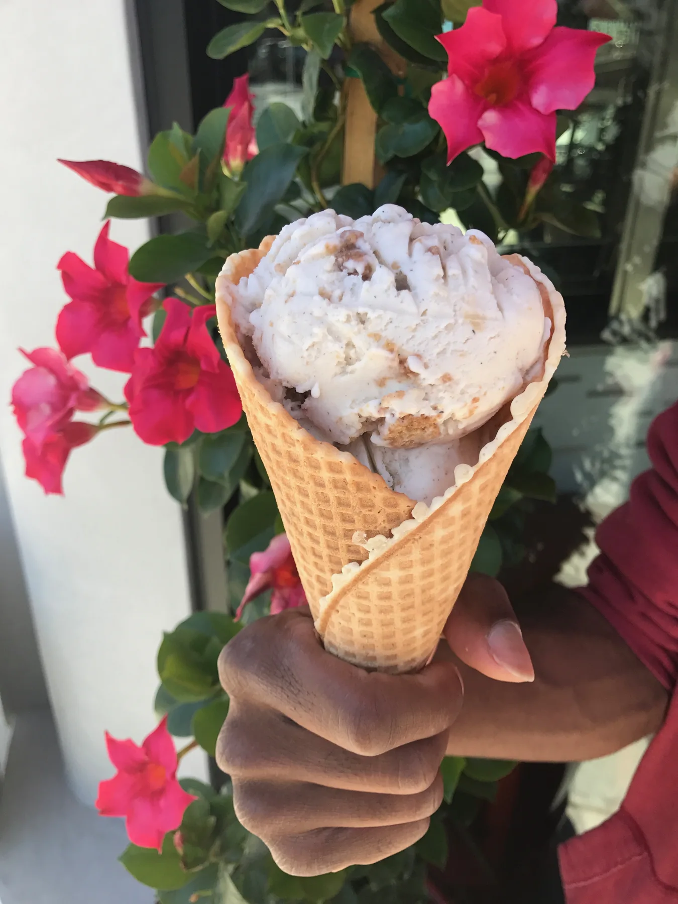 Gelato cone held in front of flowering vines