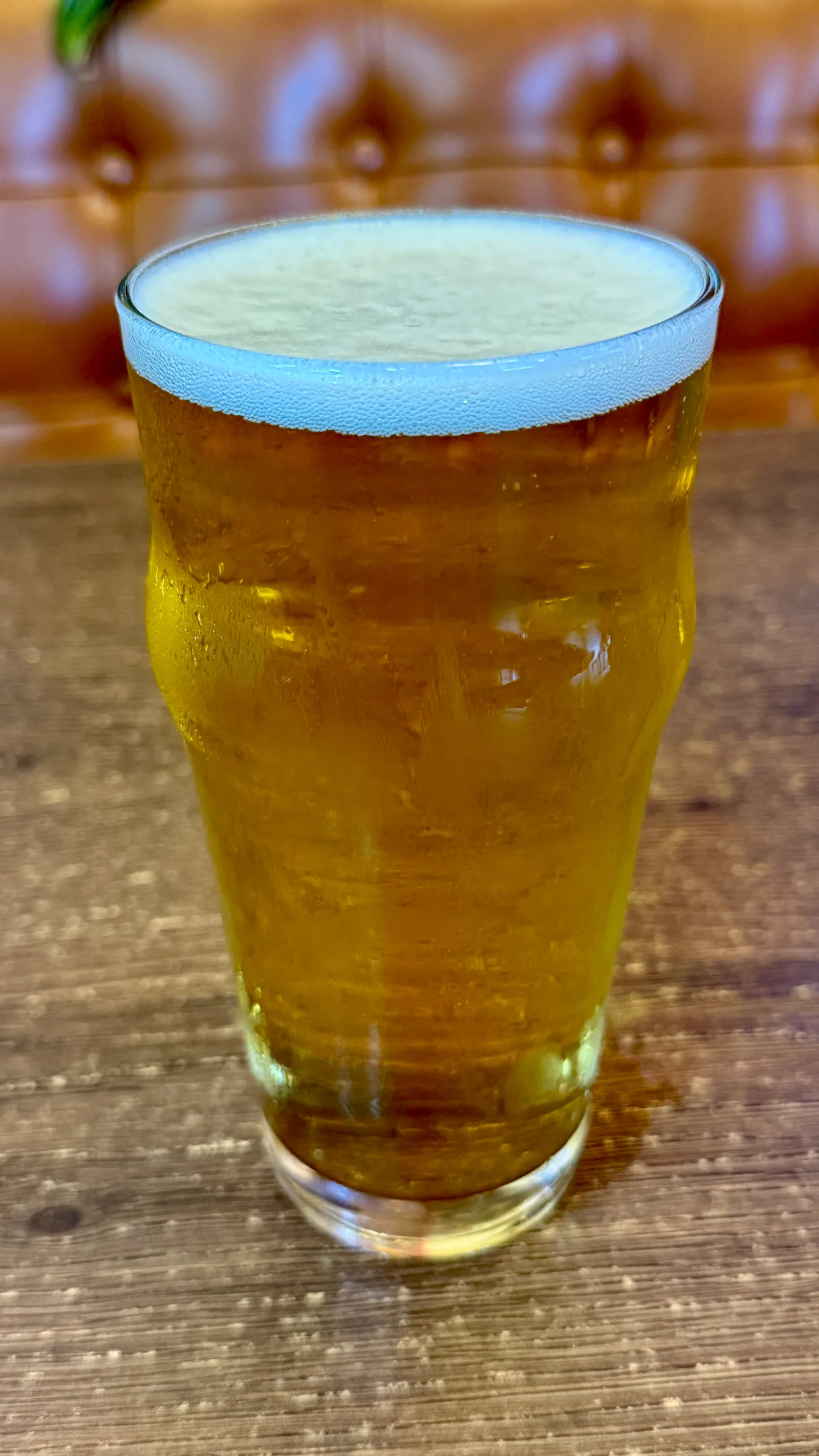IPA Beer